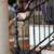 Portfolio Image 1